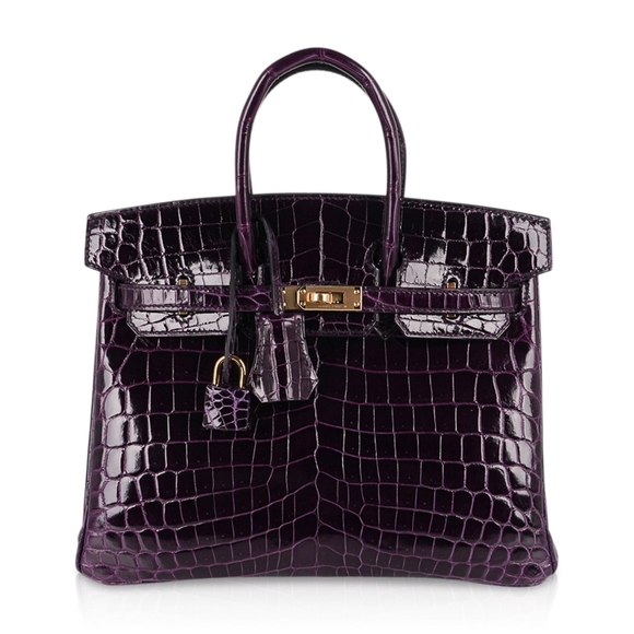 Hermes Birkin 25 Aubergine Crocodile Purple - Picture 1 of 4